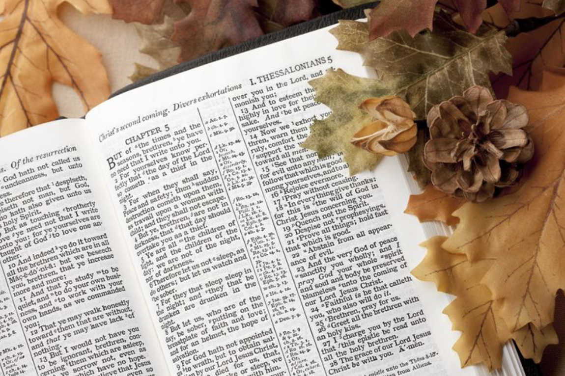 The Spirit of Thanksgiving