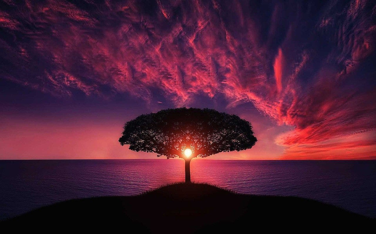 The Divine Sprirt Within