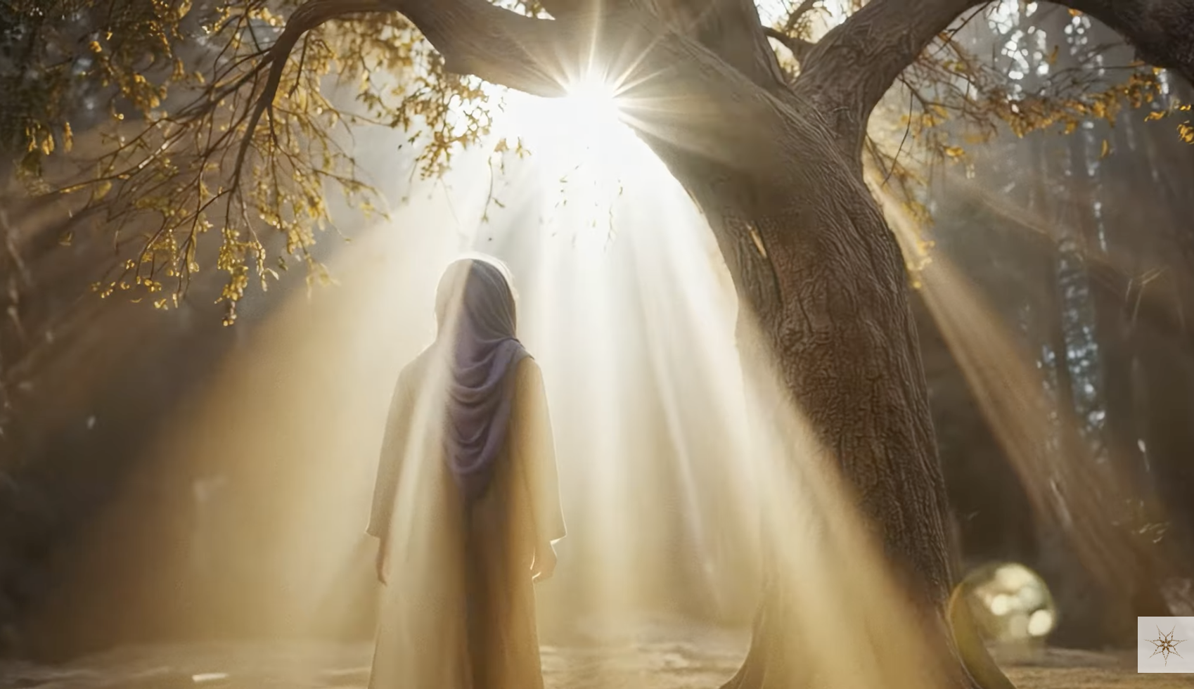 The Divine Within Series Update 2025 JUL